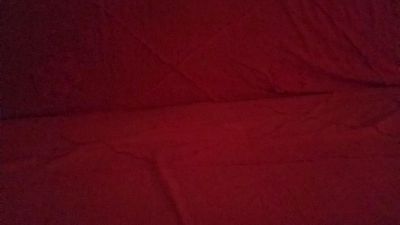 Celso_Moraes