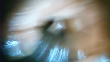 ELNegroxsalvajx Live Image