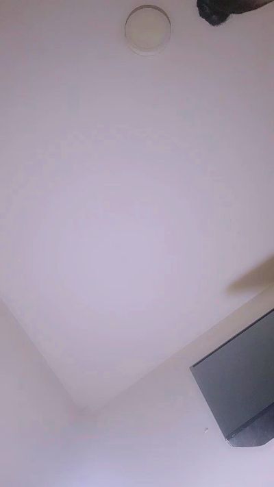 MiiaNet Live Image