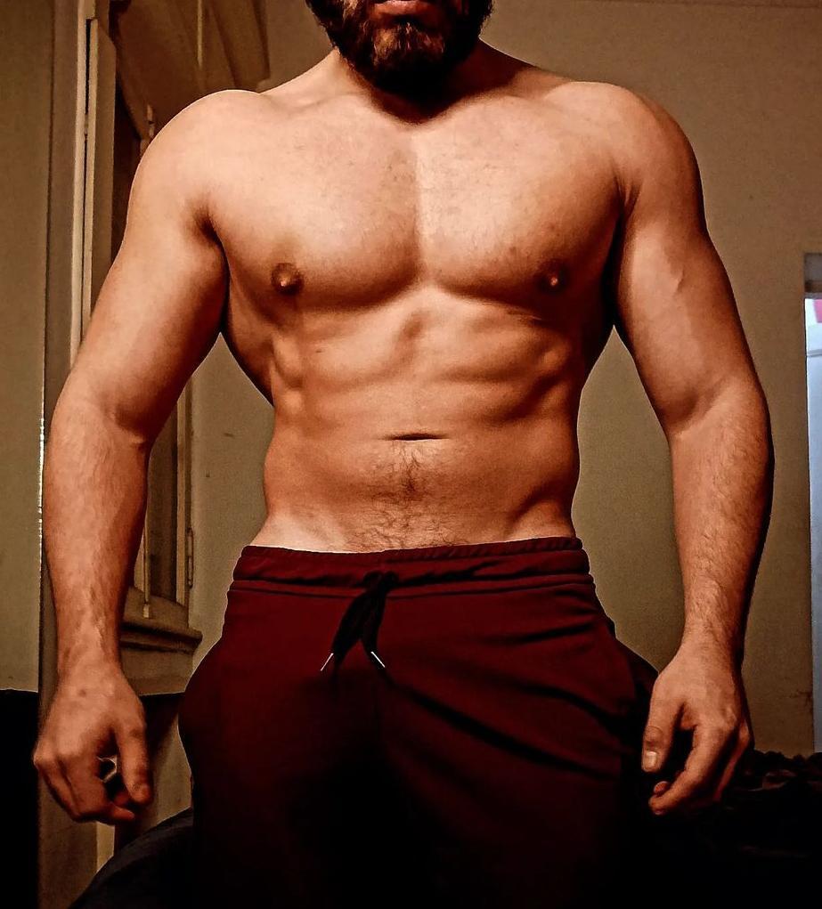 Muscled_lion