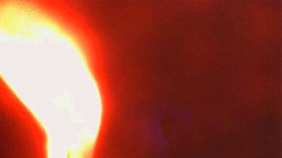 PICA_DAN Live Image