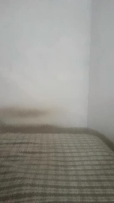 alejandro320320