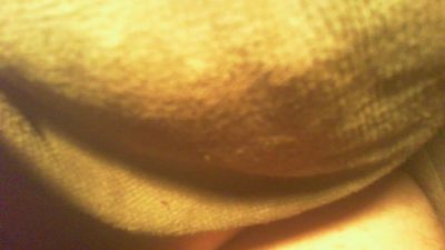 allblond1 Live Image
