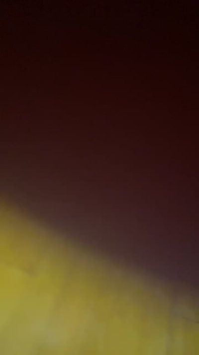danielebettani1 Live Image