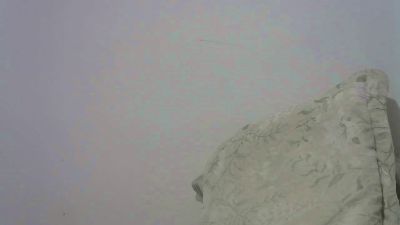 gutozam Live Image
