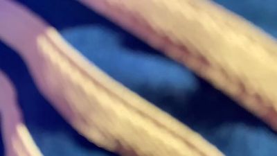nikoman11 Live Image