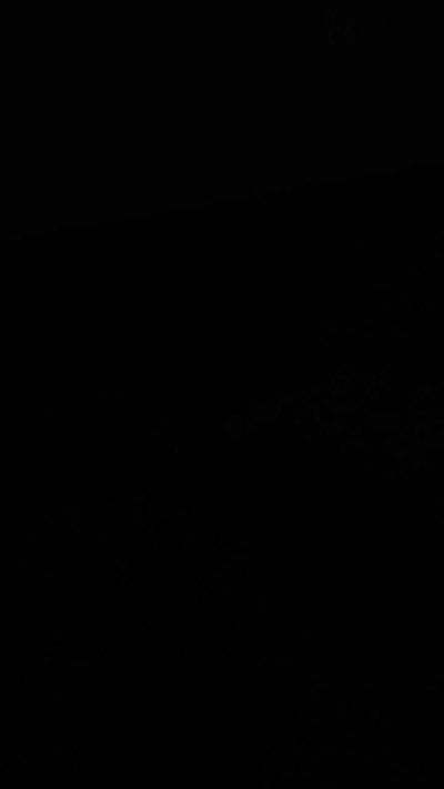 sausagehot Live Image