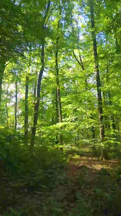 slavecam4 Live Image