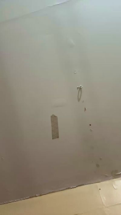 garotobomb live from Brazil