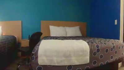 hungpisspig live from United States