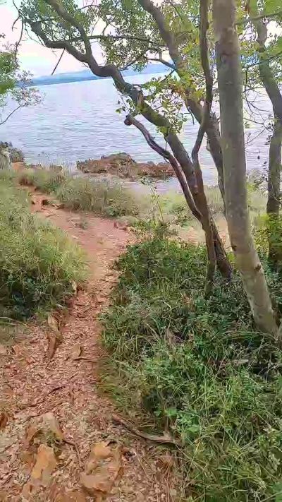 marinvzd live from Croatia