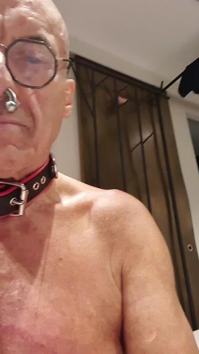 pigjebX live from France