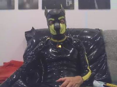 puppy_tomik live from Czechia