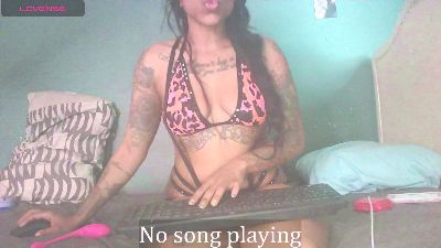 stella_clitella live from United States